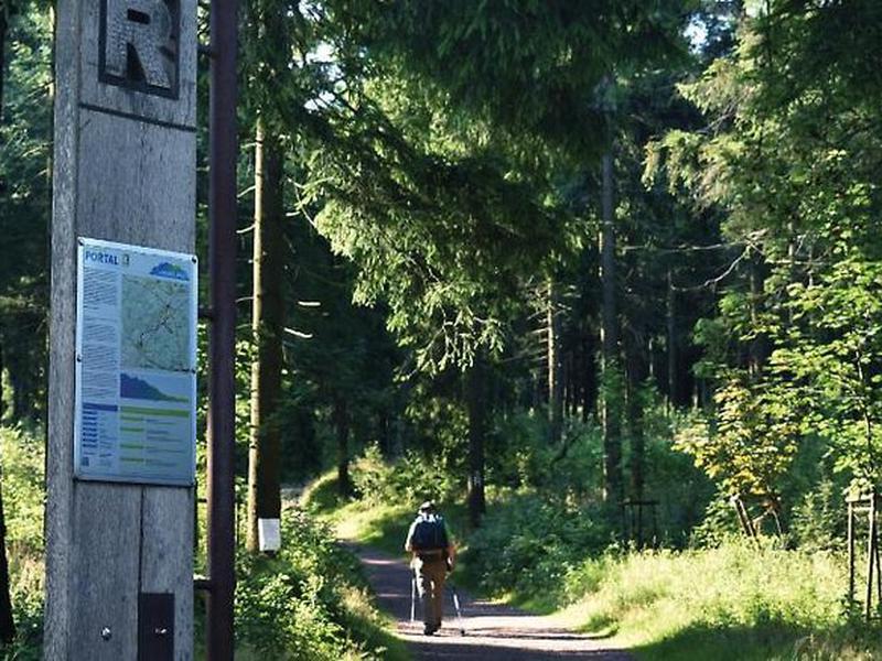 E7FBA6EE18F35D6D14ACDD85EAF781D5