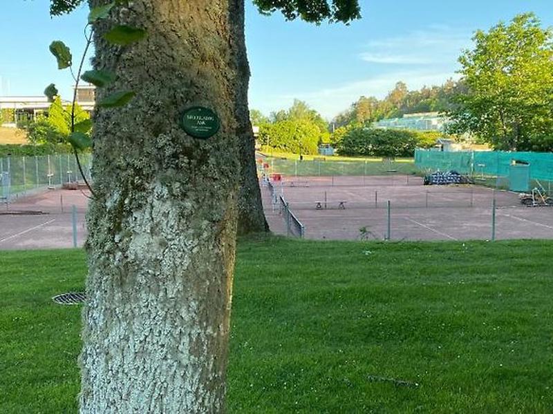 0904B8BD760E6CD6109C165BCAAB8AAB