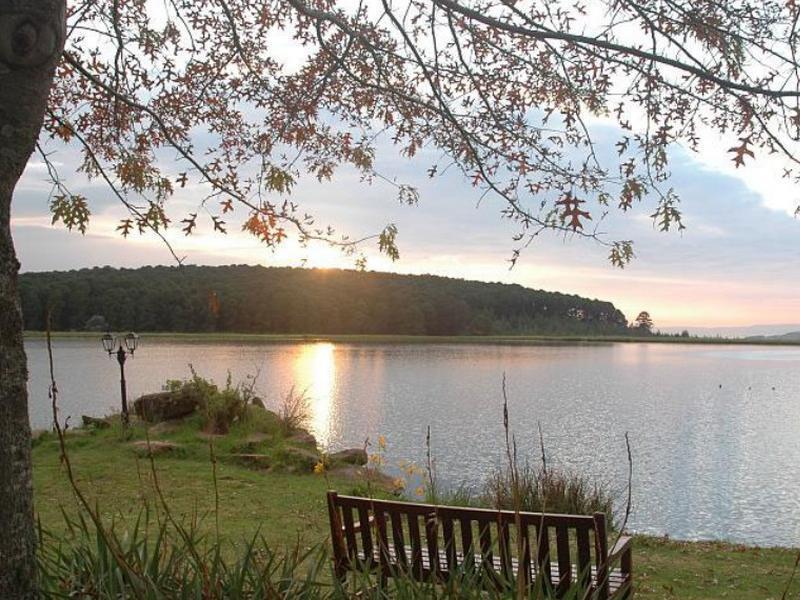 D05554694201B06E95F09AD449317B2B