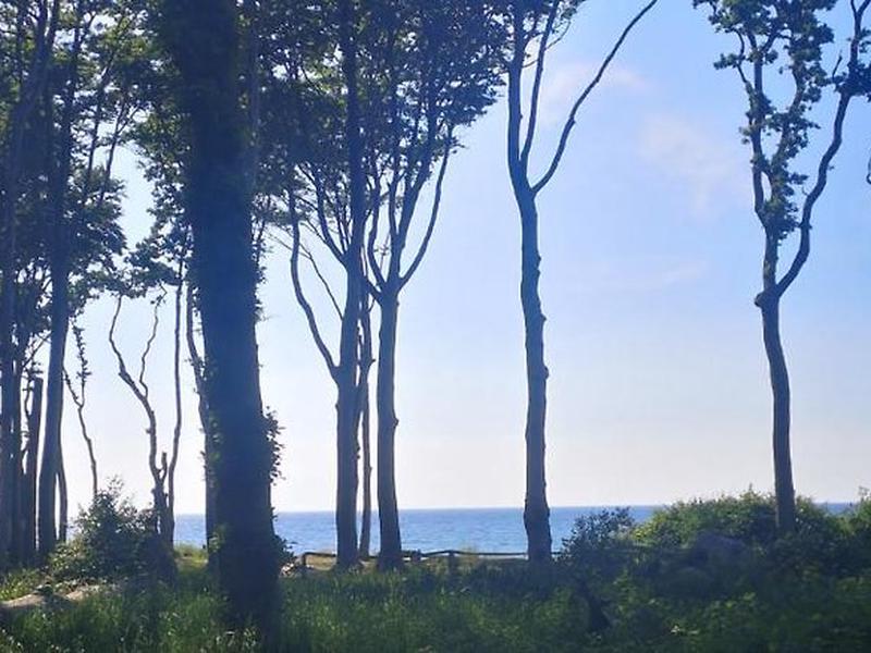 16D027A8C0D8366ED3DBD93AA7FA2CF6