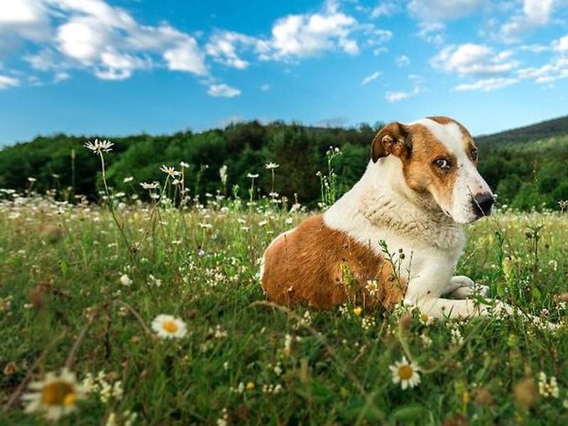 3A2AC1C833FC7E02E534BBCE8DCDC81B