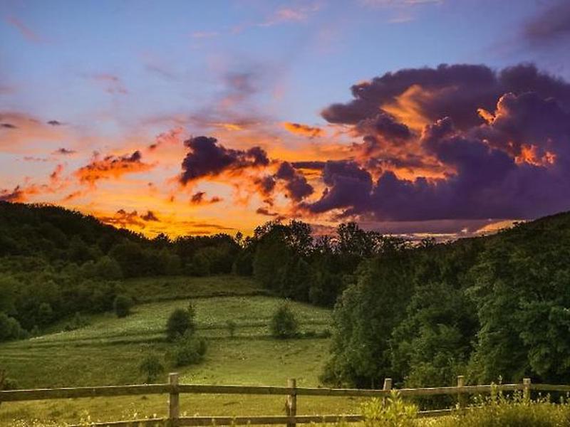 E771B80CAEC83A0E1A252F89DC9359FC