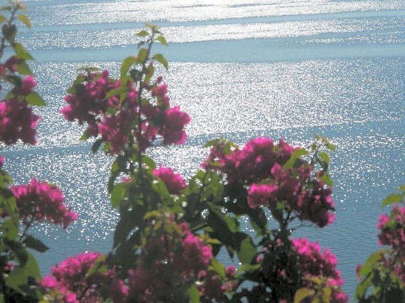 5B0FAE5F7561B9050A9AC94182843B78