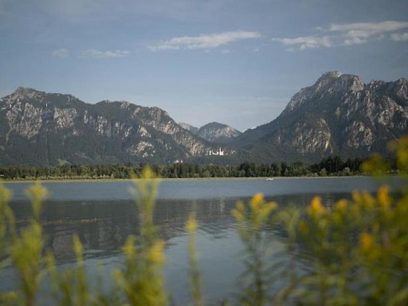 5587548C7B1474F712EF7F6D11349BC8