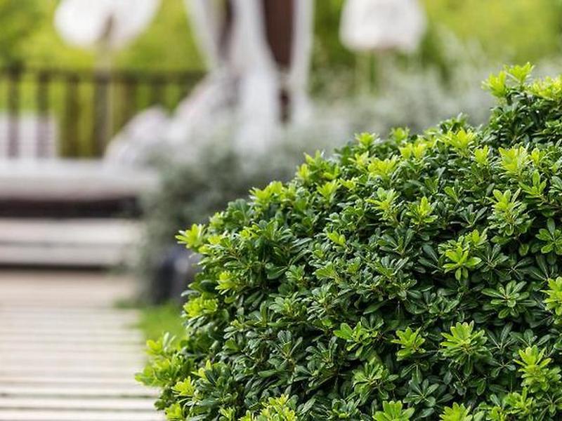 4D682DE55E393795DA50BA1D4F8A44EC