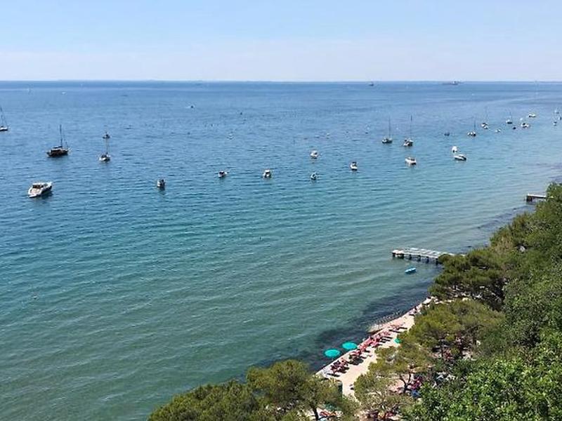 488E4C896E902045D45C9BF1F5F5A8F8