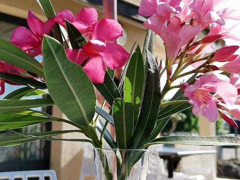 6CD920548230972AE48FBF31EE55DA70