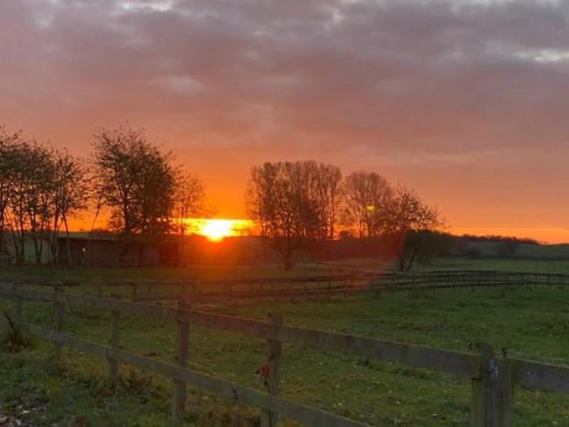 2544A08496D2EB49E0DE61BDCB9797E8