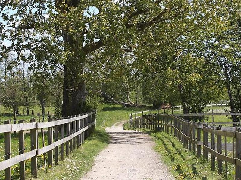 C7D9C7F363BA485BB94C8AA964E3D823