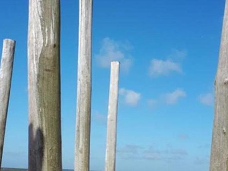 564953C23F274C842955FAEA491CCC1C