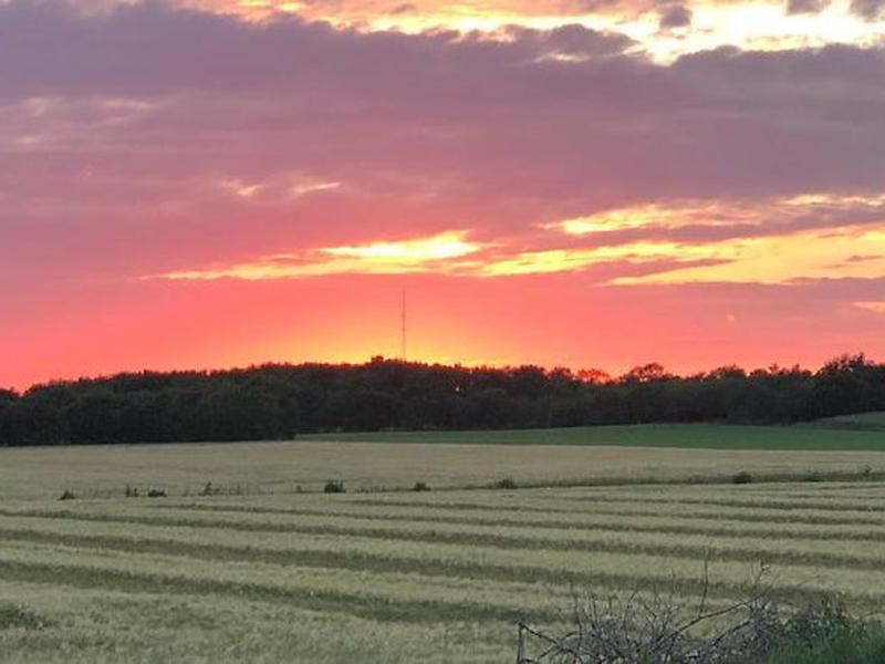 1D958575557BCE2F896048A1161B3DDB