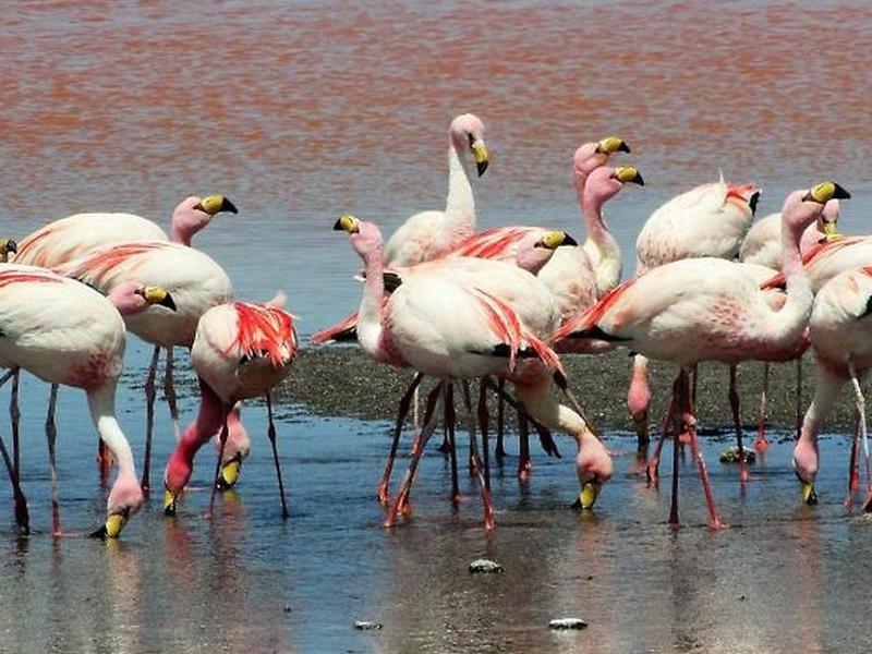 2F1DCB31B18B39F6E9B6E1CDE2F89567