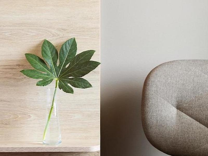 A3252EF5185414A82D009CEF336E419C