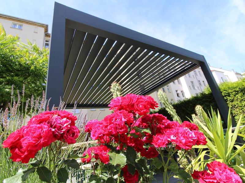 B65AE8E1514E322B49F0A21AFFECB836