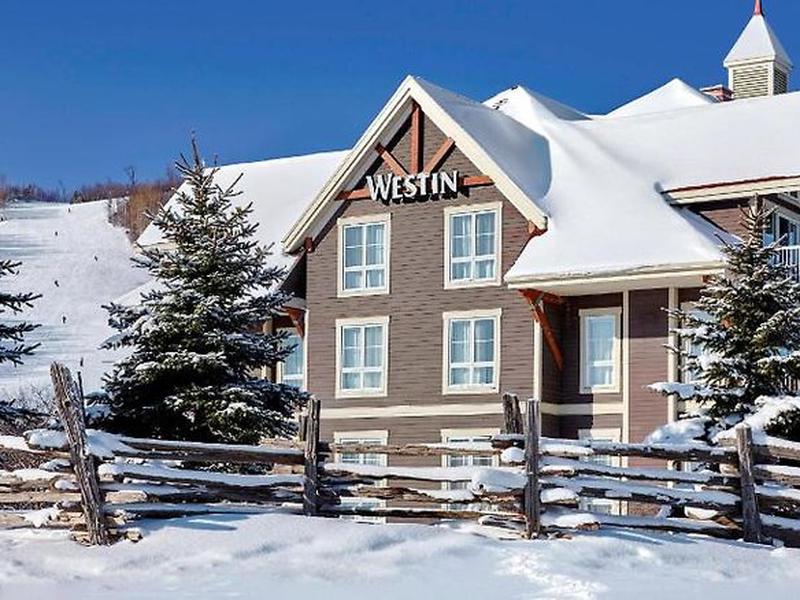 74B7509AB314FCB7AC4B4234334B8500