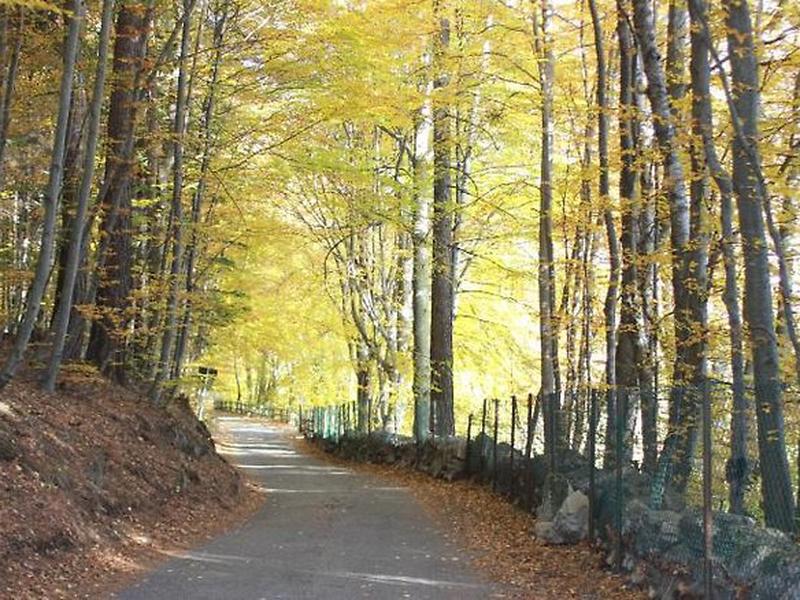 7551563B1DEE8289F7547DC4072BE929