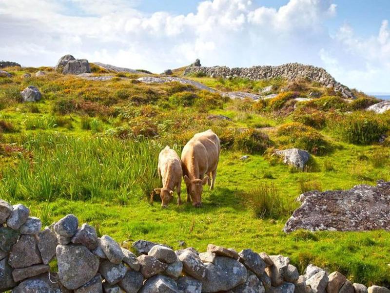 E14A8C7CBF592A547AE9E33533A434E7