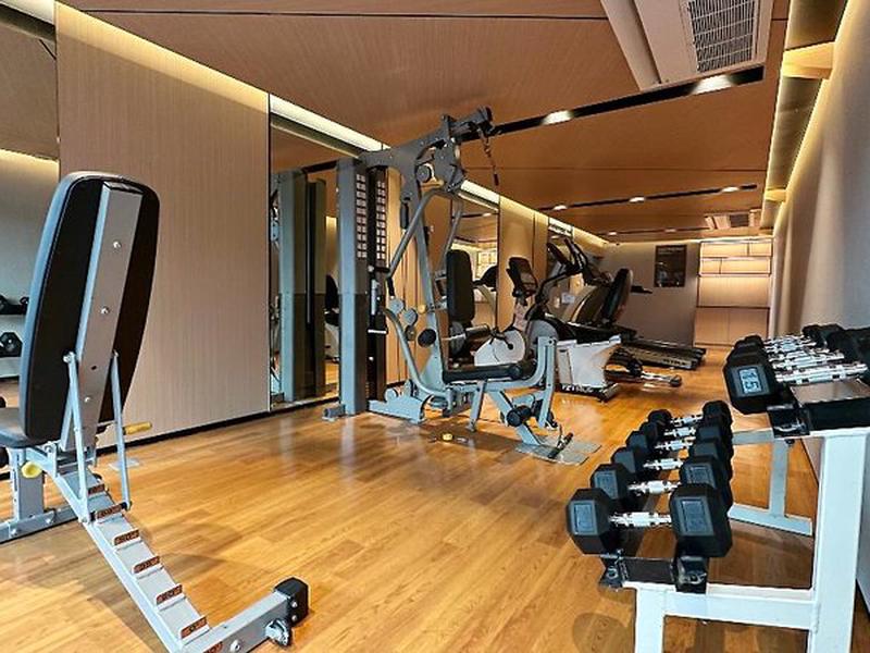 55EDA8117211A629A1C9FFD255C56584