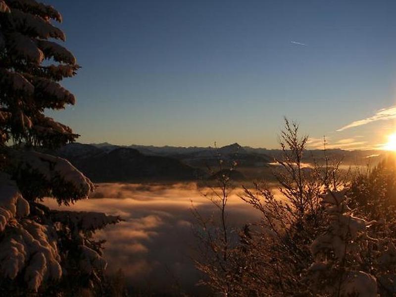 C230D75C4C02B42E8288350AD744E873