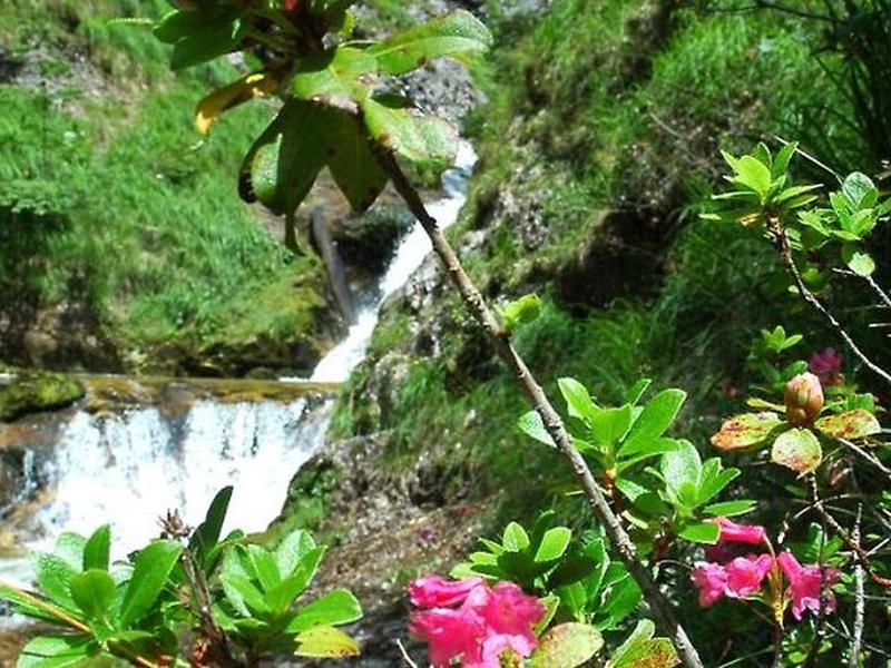 51D4D188F9036C34F82797F4F1E83EAD