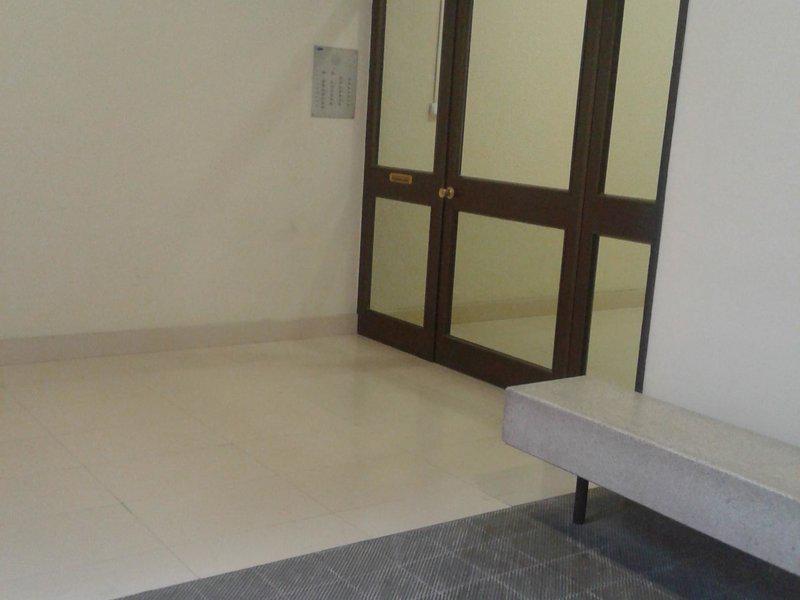 0256B8A0ED5917A69A8E1D03E31DD44F