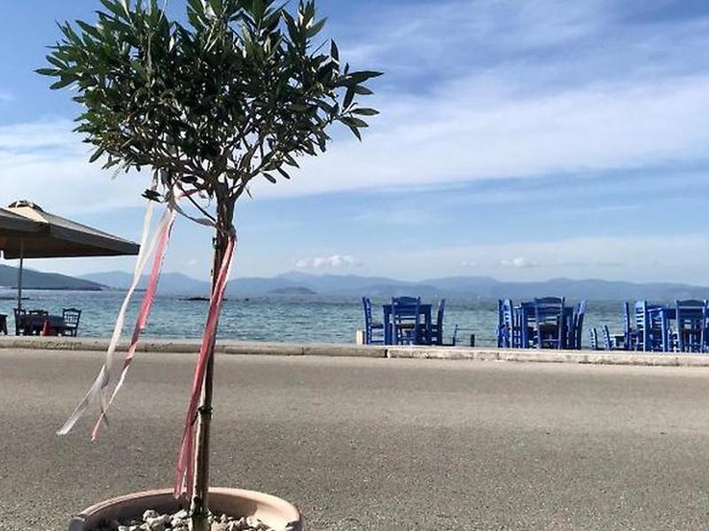 DC92EE749063EAF5AE0BAA4C41297DD8