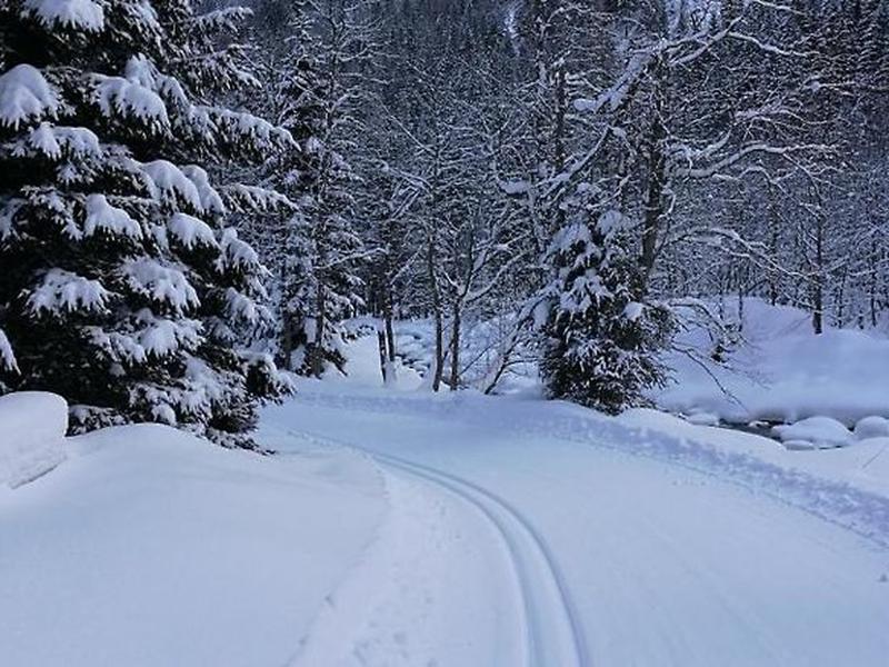 8763E159B62E6338A296D04E43E99A1C