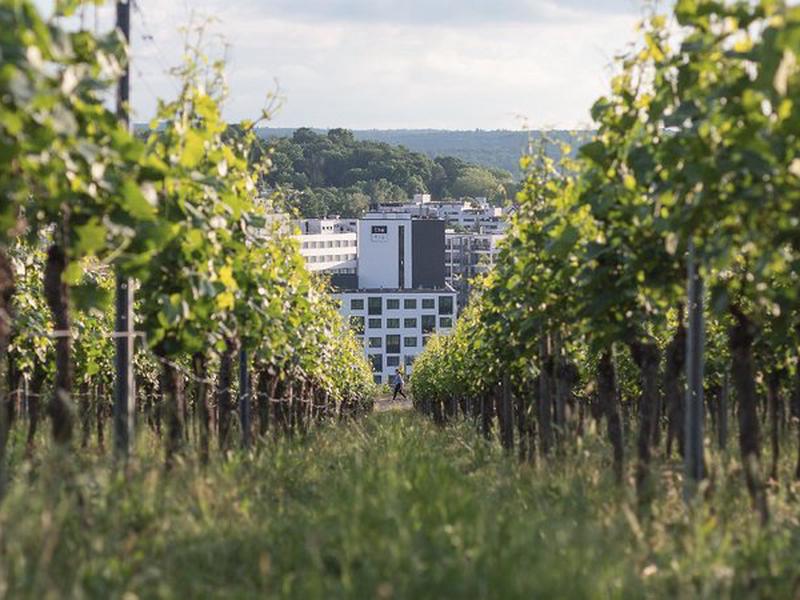 D9DA22D352B94E51086B5BFAD39DDE85