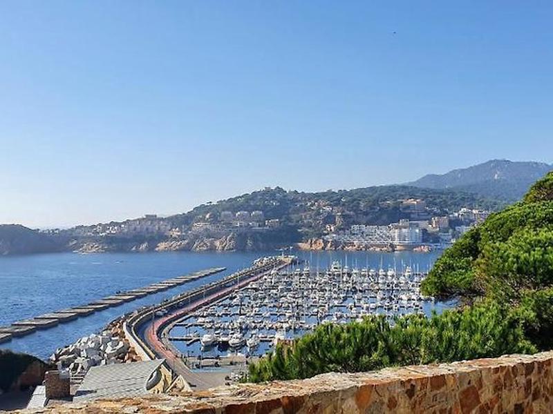 249B7BC832EAF1A658480FC5856429C9