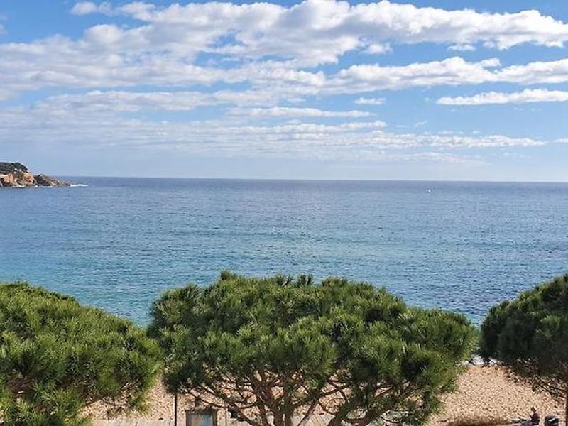 92ACE8D92F0465B19190AC3158E7271F