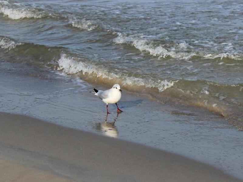 F98C0F814EB22EAF870514826662B9A9