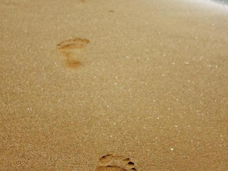 5C2DAB7AFF5743D069AAF7526CC7397B