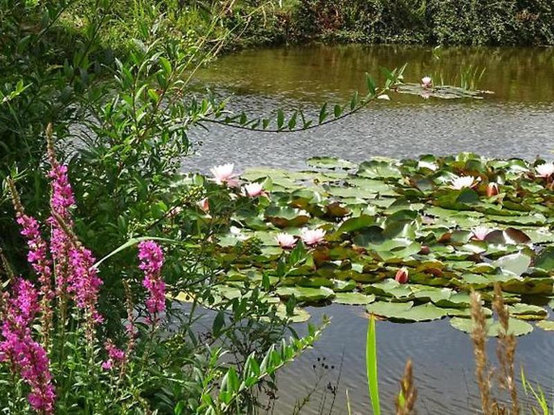 D9840A246EEBA0152280076A3C5F58E6