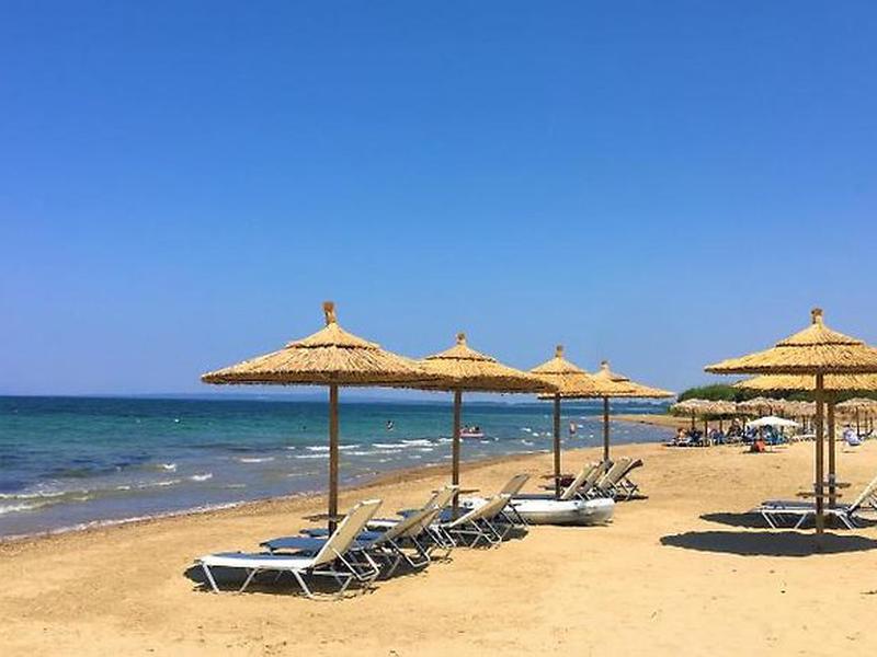 85FF0F9921537F0BAF47D4516DEF4482