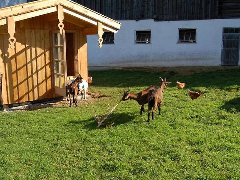 171466F6079153993B444EEAF218D5CE