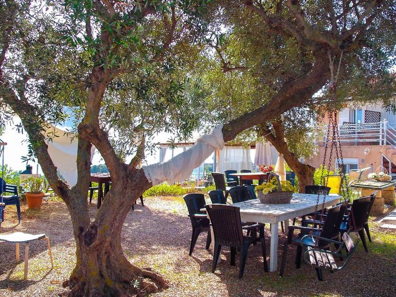 94D9A1AFC4D4E4E4F643D3BB5573747D