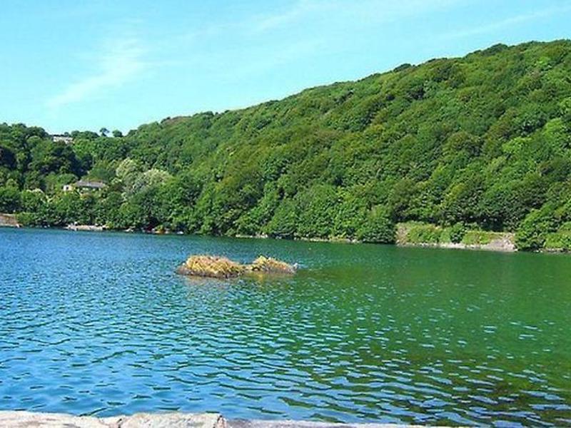 2D5ED8847B01CA4567C27E67962CF3F6