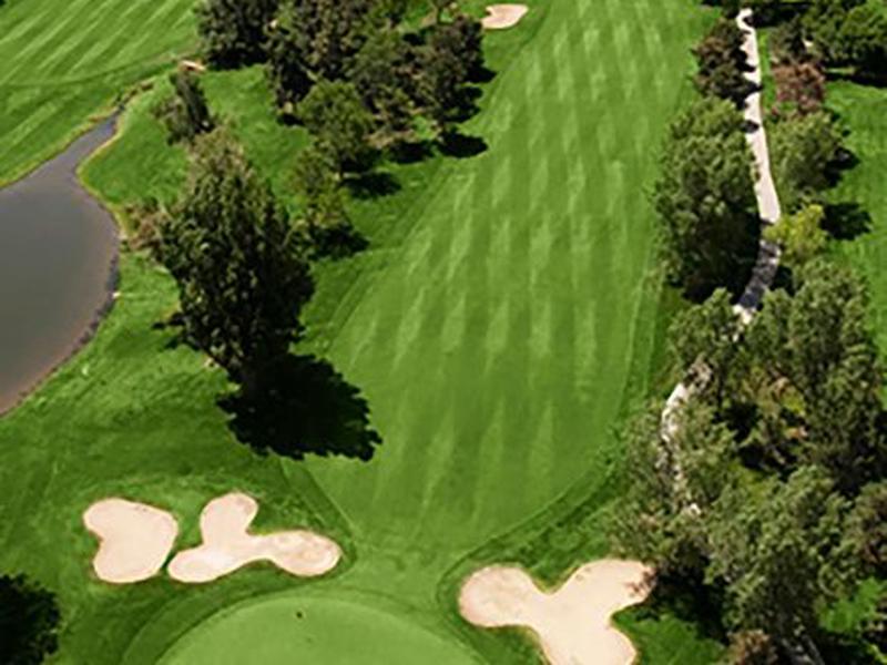 E8868812FF9BF4D080713D059390151B