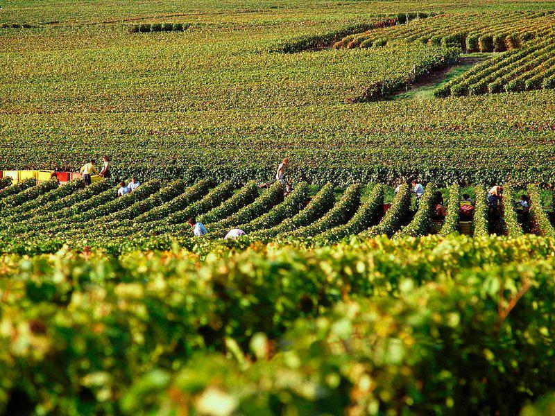 89AE124390F303A663CE1D26D2ACA1C5