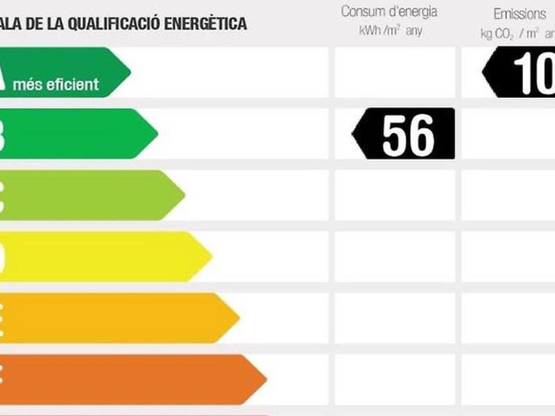 231D391D6CBF040B32A2D2643229993A