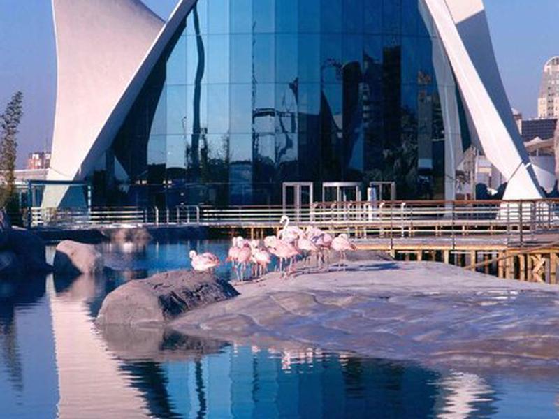 DFA857F8E2B8A5891CDF5808BBA854A0