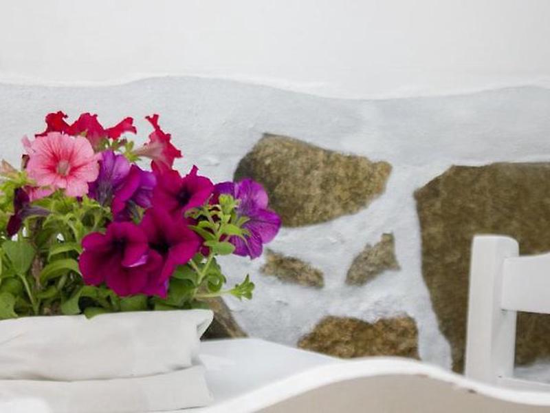 508109D0E8299F318592D80BAE196496