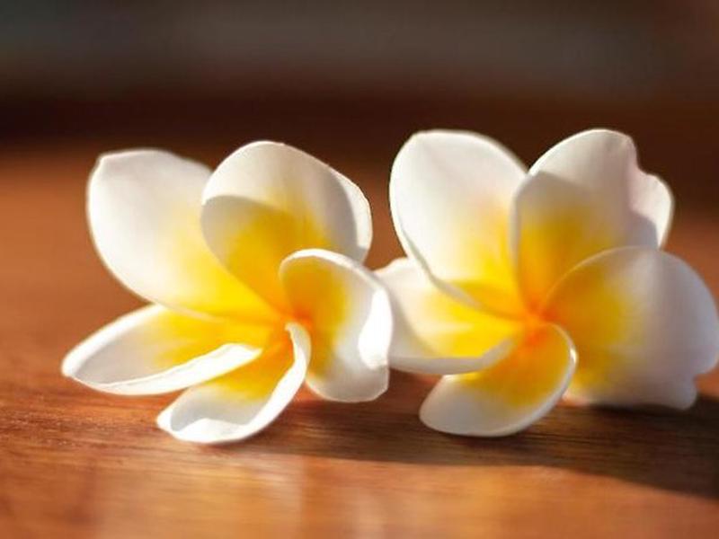 95D755FB3E42DC780364C7BDCA1C5EA1