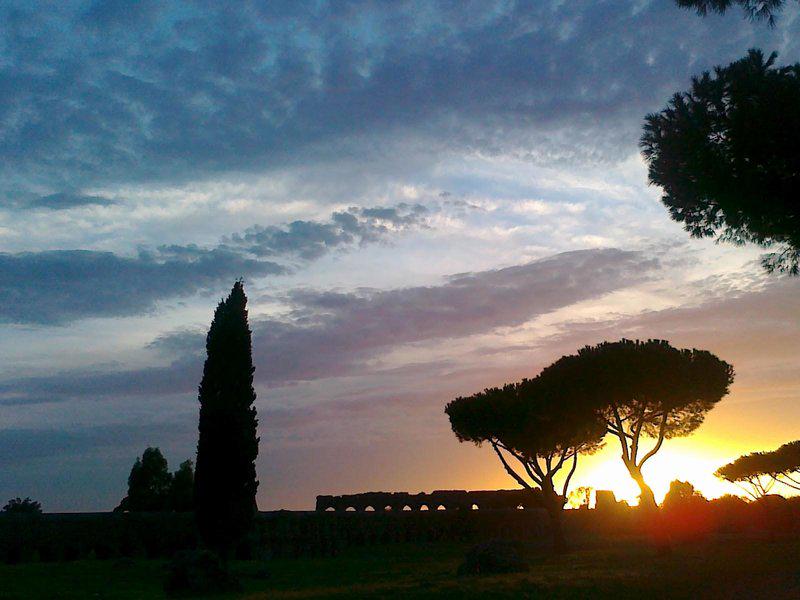 9BB10708EE13553A5598233D6A28CCD0