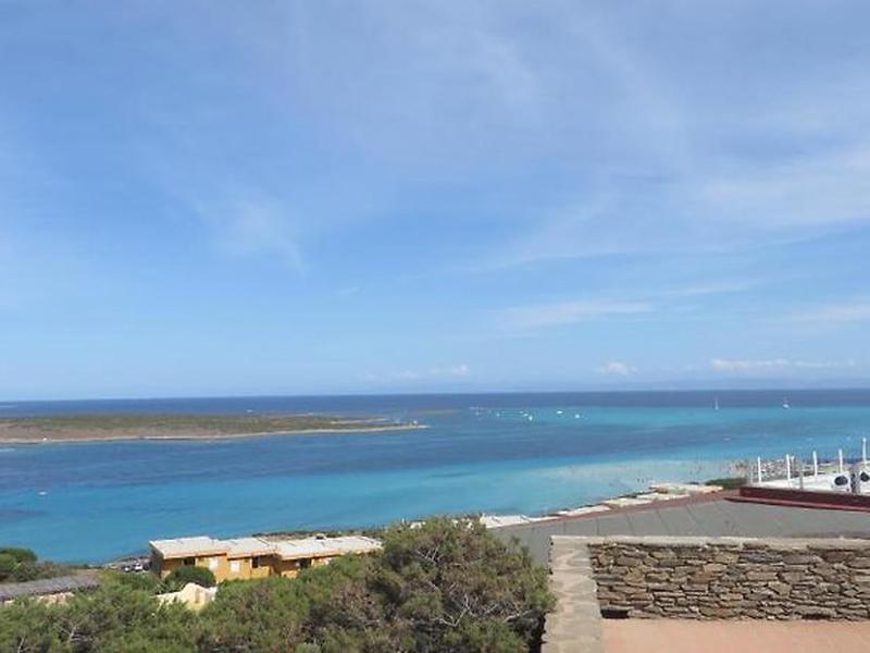 55CFDF9AB76DB6D1691A7936542D017C