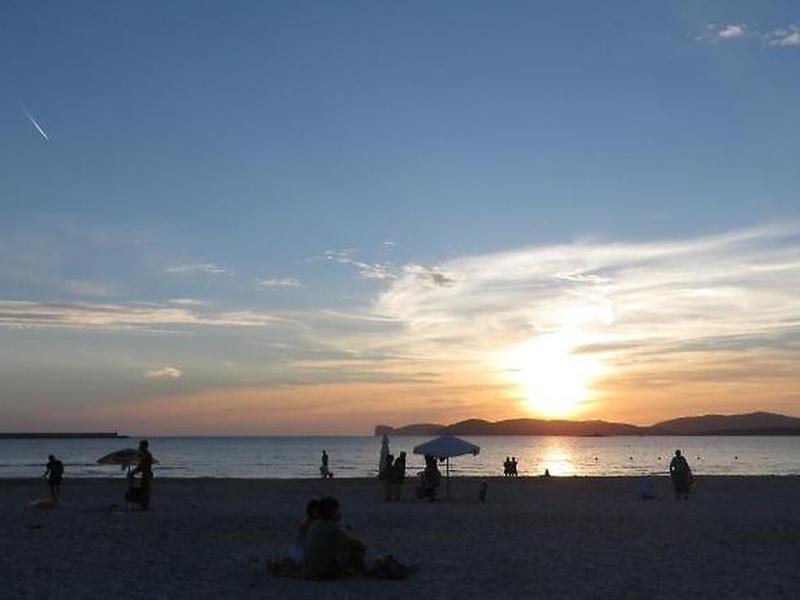 46E37E856771D96457CDEFDD3F688DAA