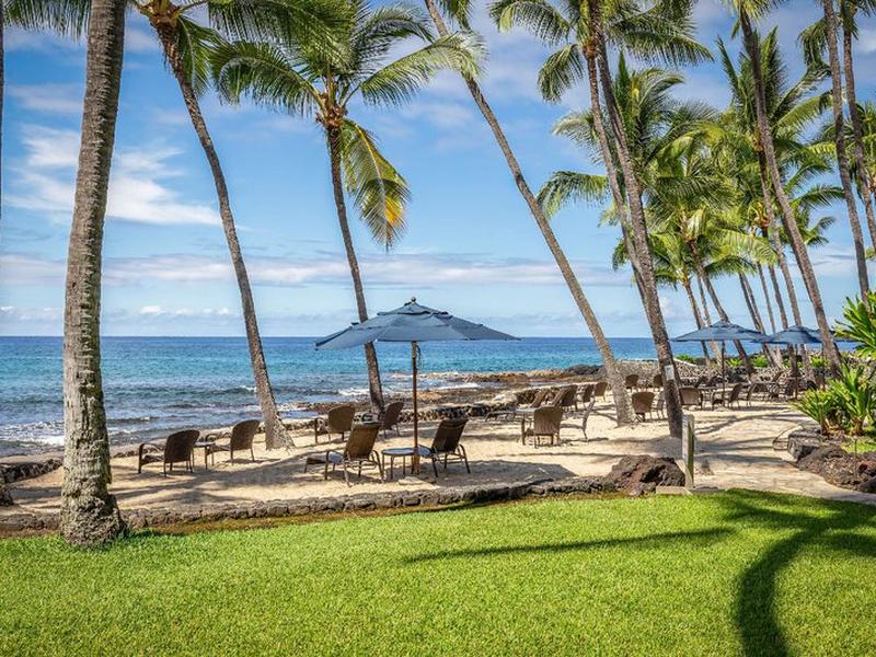 7FA02C10EEAB305508968A559C3D765A