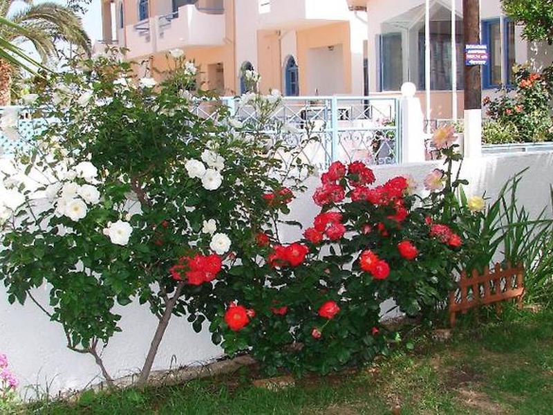 6BC4AFE9C0C9205048B2790E7D00D297