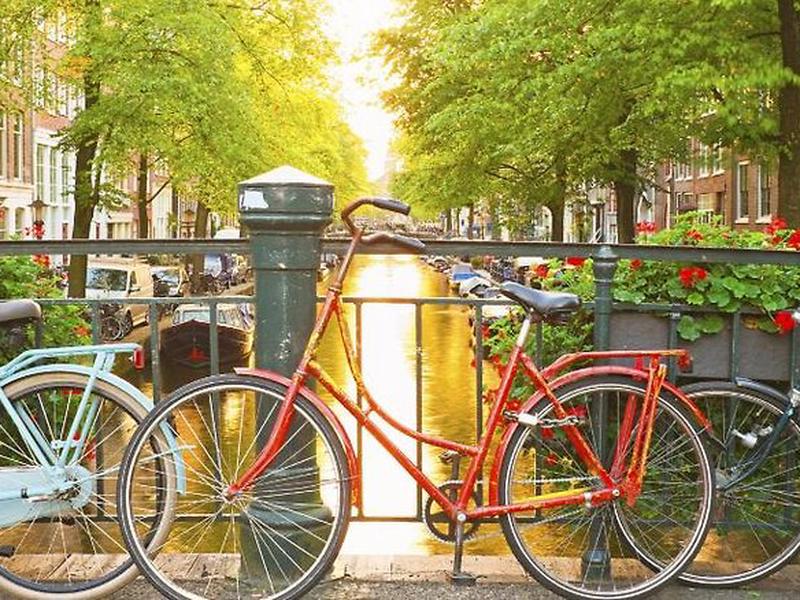 4B08D9F4C910853568E4E263E754E8A8