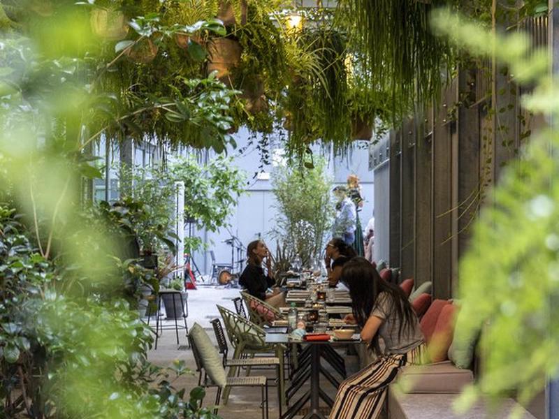 8AAA0068A06BDC4C56D82EDD039A305D